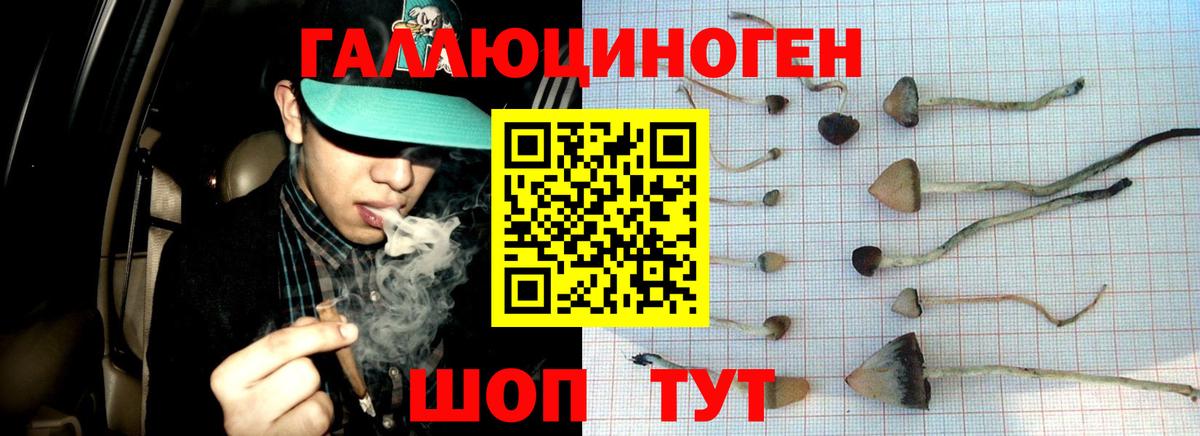 Асино  Галлюциногенные грибы Magic Shrooms  Псилоцибиновые грибы Psilocybine cubensis  цены   Вход с VPN 